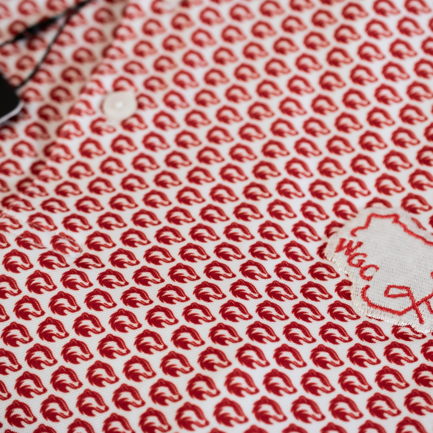 Wisconsin Golf Badger Polo